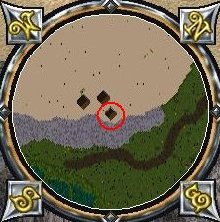 oasis1.jpg (20806 bytes)